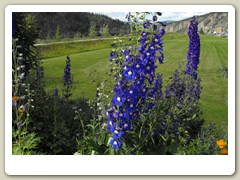 Park next to the Yukon River