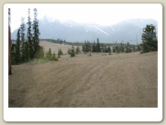 Sand dune area