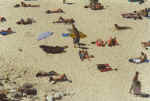 bondi-sunbather.jpg (74533 bytes)