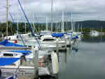 port_douglas02.jpg (77325 bytes)