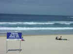bondi-09.jpg (40883 bytes)