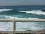 bondi-14.jpg (55640 bytes)
