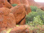 uluru-base-23.jpg (93979 bytes)