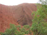 uluru-base-25.jpg (77463 bytes)