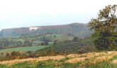 white_horse.jpg (27724 bytes)