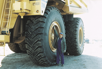 truckman.gif (48710 bytes)