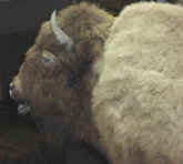 P9030124.jpg (53265 bytes)