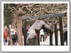 The gounds of The Palace Museum