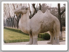 Stone monuments along long walkway