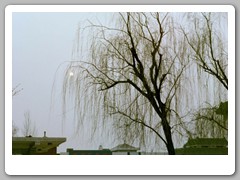 The grounds of the park