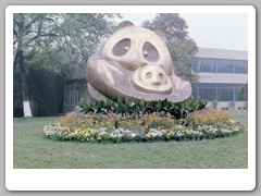In front of the preserve the Panda Preserve
