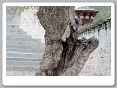 Potala Palace as we walked through the complex