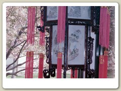 Walking around Xi'an city