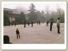 Early morning Tai Chi in the park