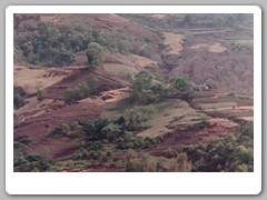 Local farm land