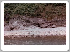 Bank of the river