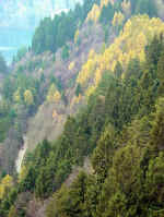 bled01.jpg (107689 bytes)