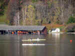 lake rowing03.JPG (94787 bytes)