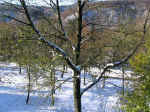 park002.jpg (167873 bytes)