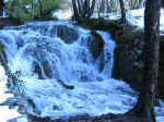 park057.jpg (125390 bytes)