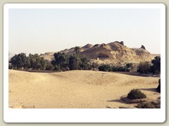 Looking out in the desert