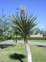 city08.jpg (93529 bytes)