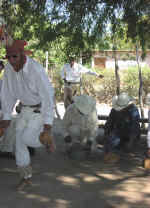 tehueco09.jpg (85425 bytes)