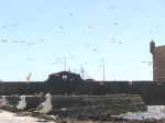 harbor04.jpg (42754 bytes)