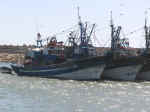 harbor11.jpg (72126 bytes)