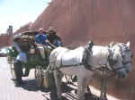 carriage08.jpg (63325 bytes)