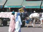 square day11.jpg (78054 bytes)