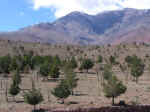 high atlas02.jpg (86730 bytes)