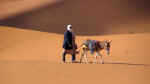 ergchebbi07.jpg (24092 bytes)