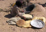 berber05.jpg (95553 bytes)